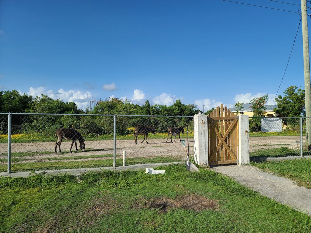 Garden & Gates Project